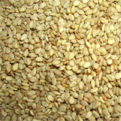 Seeds BG18009 Seeds Hulled Snflower Seed - 1x5LB
