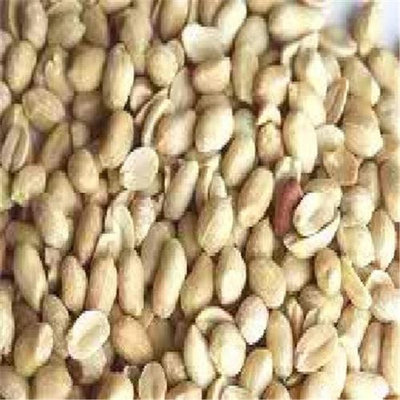 Nuts BG16680 Nuts Peanuts Shelled Rs Usa - 1x5LB