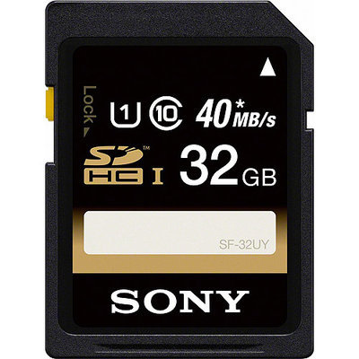 Sony 32GB Secure Digital High Capacity (SDHC)1 Pack