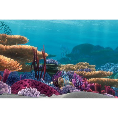 Penn-plax Inc. Penn Plax Finding Nemo 20 gal. Tank Background