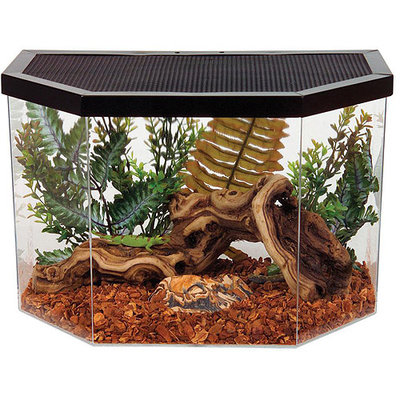Koller Pet Group KOL HEX HABITAT W/SCREEN 5 gal