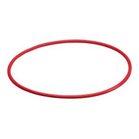 OLYMPUS POL-E01B Silikon O-Ring fur PT-E01 (N2136800)