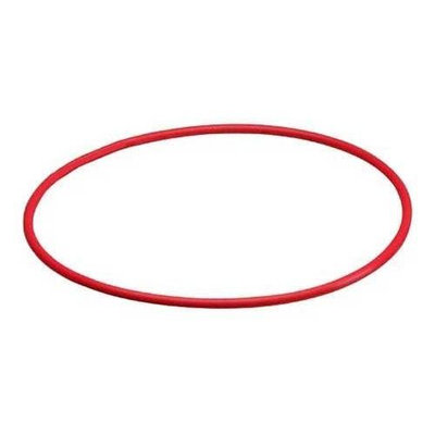OLYMPUS POL-E01B Silikon O-Ring fur PT-E01 (N2136800)