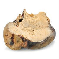 Best Bully Sticks Large Split Knuckle Bone for Dogs