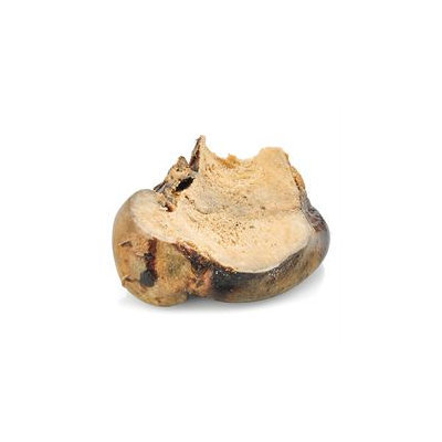 Best Bully Sticks Large Split Knuckle Bone for Dogs
