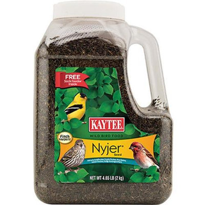 Kaytee 100033969 4.65 Pound Nyjer Seed