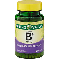Spring Valley Vitamin B-6 100mg, 250ct