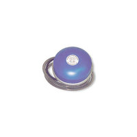 Farm Innovators H-418 1250 Watt Water Bucket Floating Heater