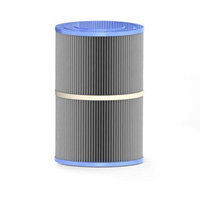 Poolmaster 12887 Replacement Filter Cartridge for Coleman/Maxx Spas Filter