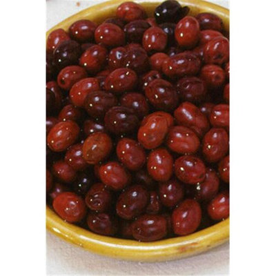 Arnaud 23002 8.8 Lb. DW Pitted Nicoise Olives Pack of 2