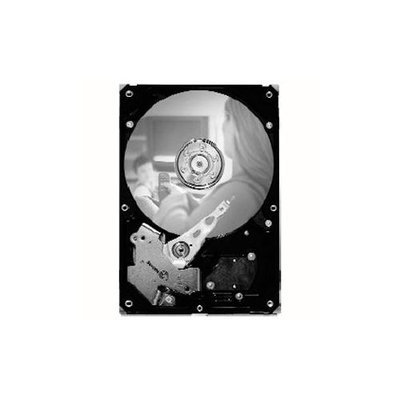 Hewlett Packard Seagate Sv35.2 St3320620av 320GB 3.5 Internal Hard Drive - Ide - 7200 Rpm - 16MB Buffer (st3320620av)