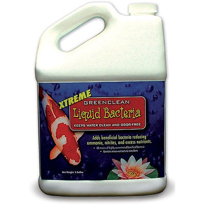 BIOSAFE 1 Gallon GreenClean Xtreme Liquid Bacteria