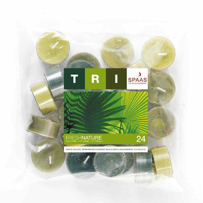 Light In the Dark Fresh Nature Scented Tealight Candles (Set of 24)