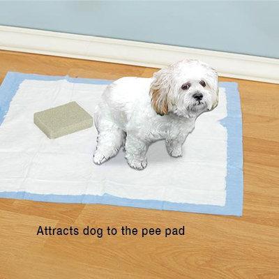Just Scentsational Here Doggie! Scented Pee Pad Trainer and Attractant