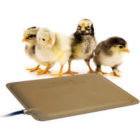 K & H Pet Products K & H Thermo-Peep 25-Watt Chicken Coop Heater Pad - Outdoor