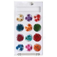 Bundle Monster BMC 12 Style Variety Multicolor 3D Nail Art Real Dried Pressed Flowers - Set 1