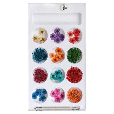Bundle Monster BMC 12 Style Variety Multicolor 3D Nail Art Real Dried Pressed Flowers - Set 1