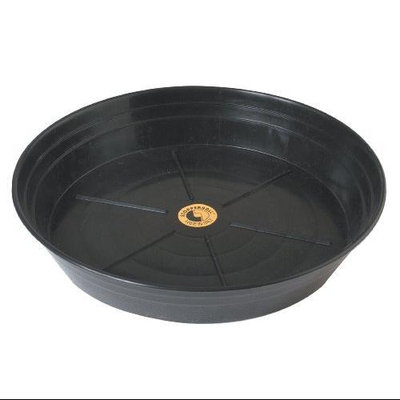 Champion Sports Exercise Ball Base