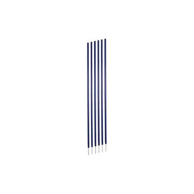 Champion Sports Coaching Sticks in Blue - Set of 6