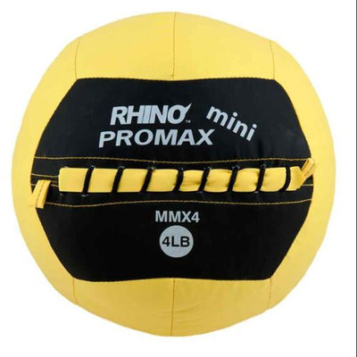 Champion Sports 4lb Mini Rhino Promax Slam Ball