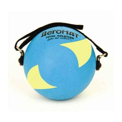 Aeromat Power Yoga / Pilates Weight Ball Color: Teal / Yellow