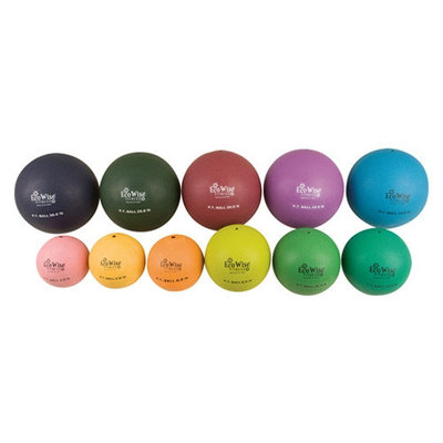 Eco Wise Fitness Non-Bouncing Physical Therapy Ball