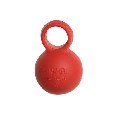 Fabrication Enterprises 10-0798 Exerball Hand Exerciser Firm