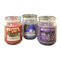 LumaBase 3-piece Floral Collection 18-oz. Jar Candle Set