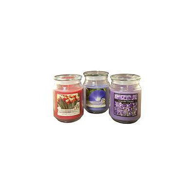 LumaBase 3-piece Floral Collection 18-oz. Jar Candle Set