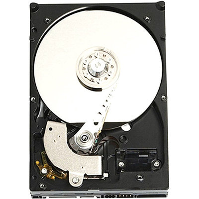 Western Digital Caviar SE 320GB Internal Hard Drive - Bulk