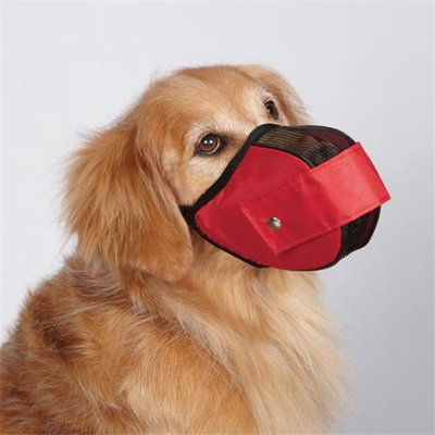 Petedge ZX2015 14 83 GG Fabric Mesh Muzzle Small 7 In Red