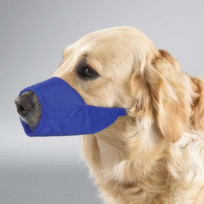Guardian Gear Petedge TP579 19 Guardian Lined Fashion Muzzle Pkg 12/Pcs Blue