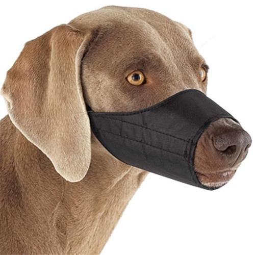 Guardian Gear Nylon Dog Muzzle 4