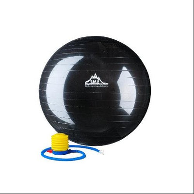 Black Mountain Products 29.5-in. Burst-Resistant Fitness Ball