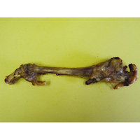 Best Buy Bones - Smoked Lamb Trotter- Natural 12 Inch - 90100