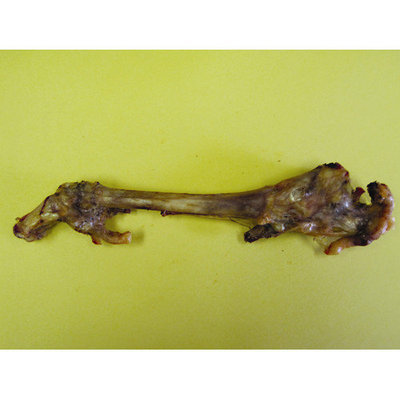 Best Buy Bones - Smoked Lamb Trotter- Natural 12 Inch - 90100