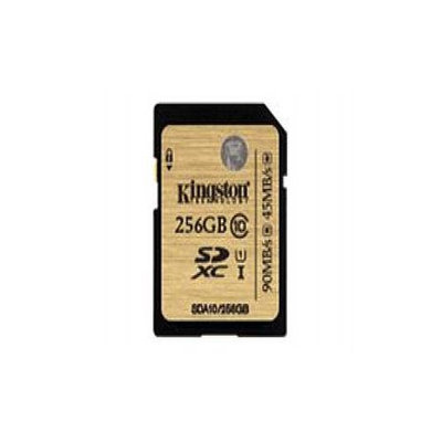 Kingston 256GB Secure Digital Extended Capacity (SDXC)