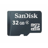 Safety Technology SD-CARD32GB 32GB SD CARD