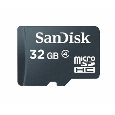 Safety Technology SD-CARD32GB 32GB SD CARD