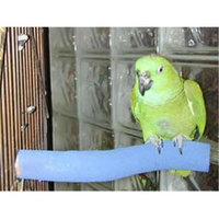 Polly s Pet Products 51950786 Pollys Pet Products Sand Walk Arch Bird Swing Size Small