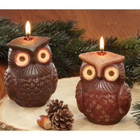 Cc Home Furnishings Pack of 6 Modern Lodge Earth Toned Owl Bird Candles 4 - Unscented