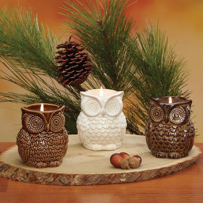 Cc Home Furnishings Pack of 6 In the Birches Ceramic Owl Candles 3