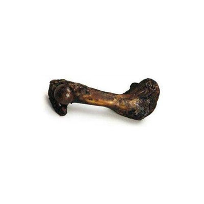 Topdawg Pet Supply Ims Pet Industries DIM01131 Meaty Smoked Pig Femur