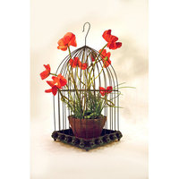 Metrotex Designs Wild Rose Design Bird Cage with Hook