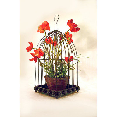 Metrotex Designs Wild Rose Design Bird Cage with Hook