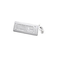 Buslink Media Buslink Keyboard - Wireless - 104 Keys - USB - Mouse - Wireless - Laser - USB RF6572LWH