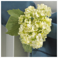Eziba Vibernum White Napkin Rings (Set of 4)