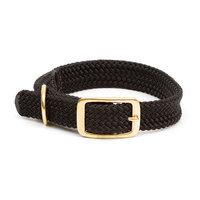 Mendota Double Braid Collar in Orange / Brushed Nickel Hardware