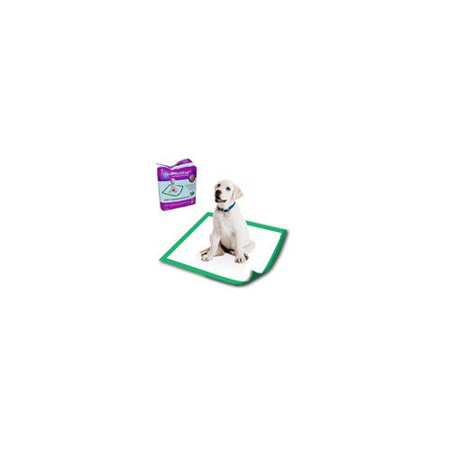 PoochPad Products Disposable Potty Pad (Set of 20)
