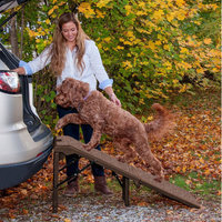Pet Gear Free Standing Extra Wide Carpeted 55
